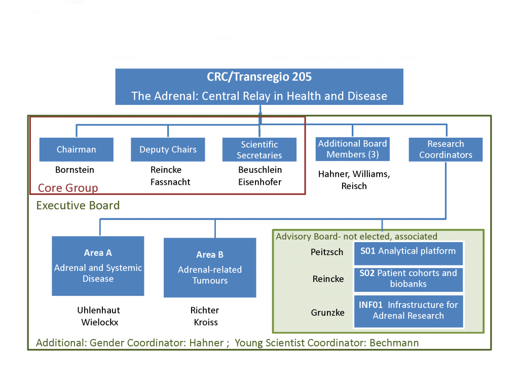 Here is supposed to be an overview of the structure of the CRC/TRR 205.